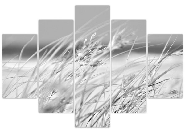 Kép - Strandfű (150x105 cm)