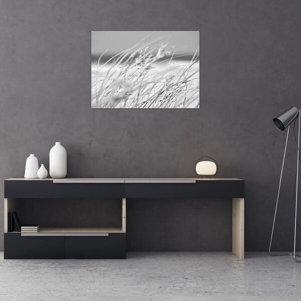 Kép - Strandfű (70x50 cm)