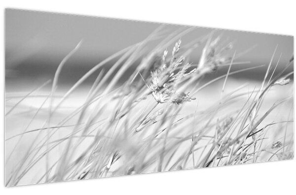Kép - Strandfű (120x50 cm)