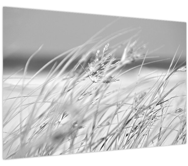Kép - Strandfű (90x60 cm)