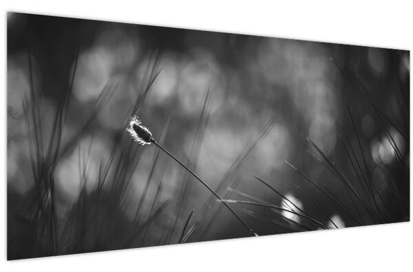 Kép - Mezei fű (120x50 cm)