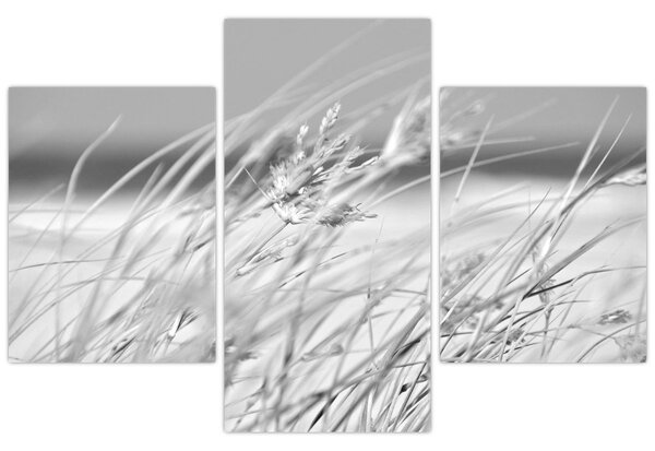Kép - Strandfű (90x60 cm)
