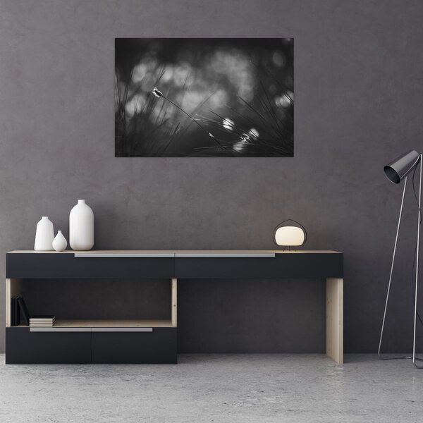 Kép - Mezei fű (90x60 cm)