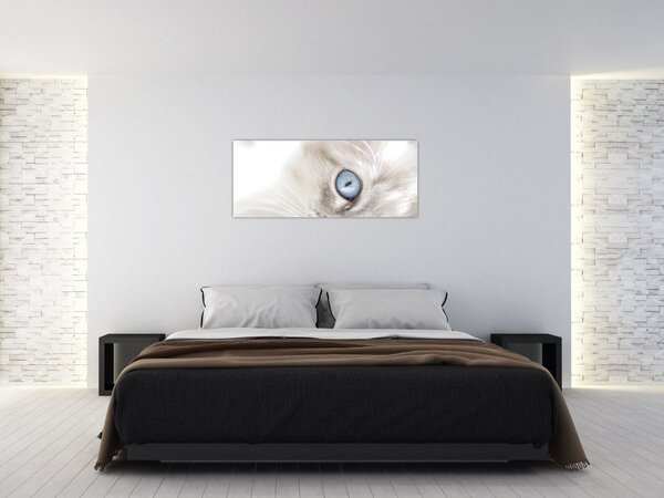 Kép - Kék szemű macska (120x50 cm)