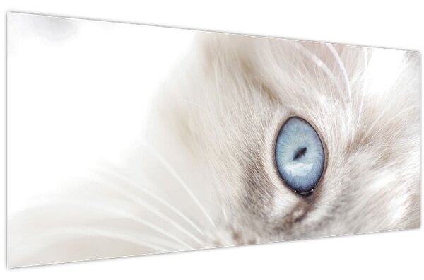 Kép - Kék szemű macska (120x50 cm)