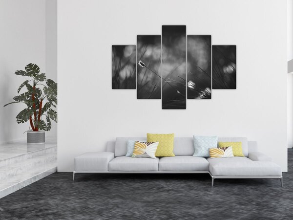 Kép - Mezei fű (150x105 cm)
