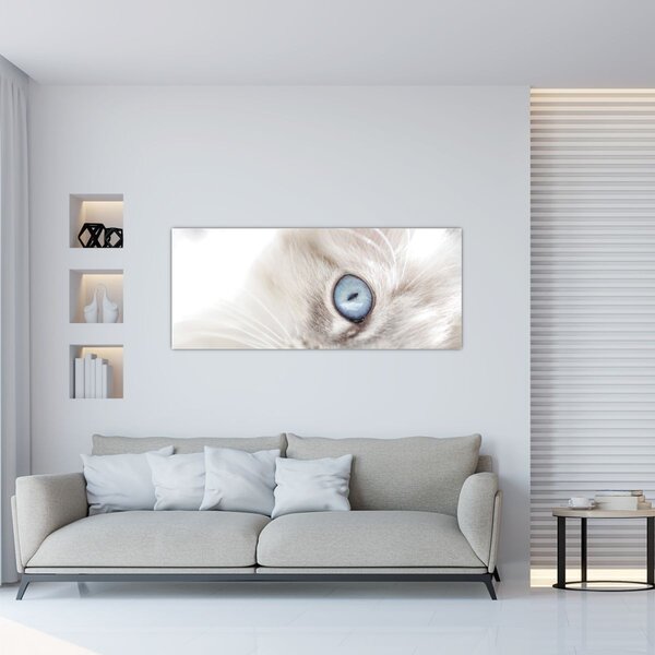Kép - Kék szemű macska (120x50 cm)
