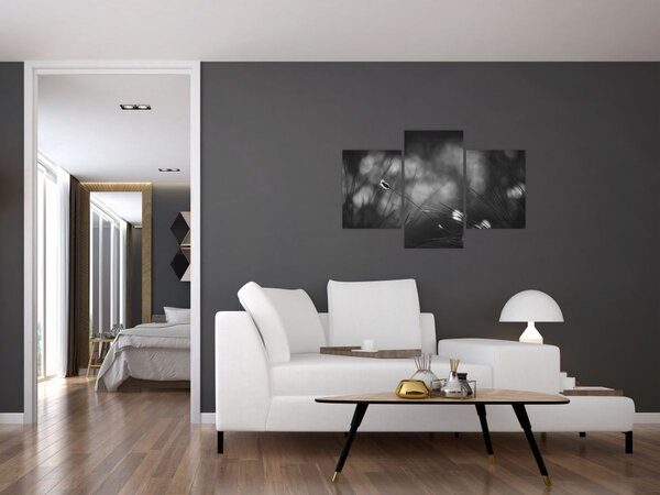 Kép - Mezei fű (90x60 cm)
