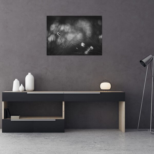 Kép - Mezei fű (70x50 cm)