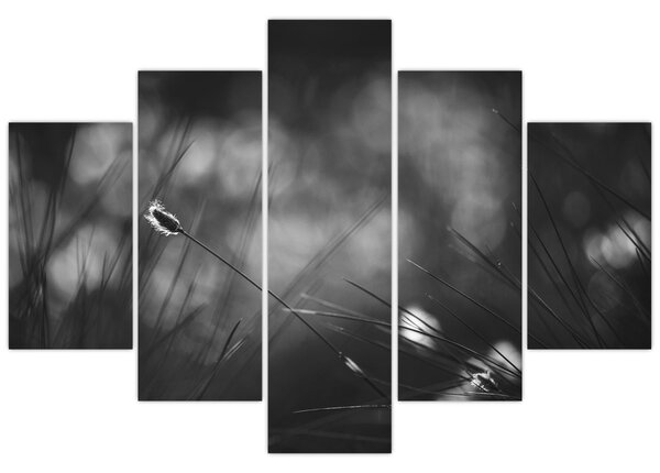 Kép - Mezei fű (150x105 cm)