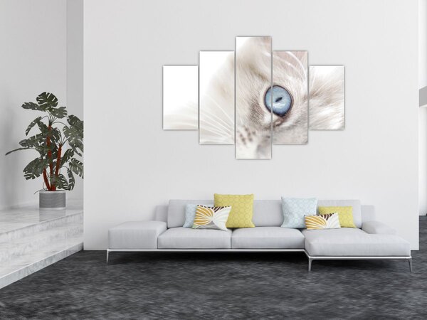 Kép - Kék szemű macska (150x105 cm)