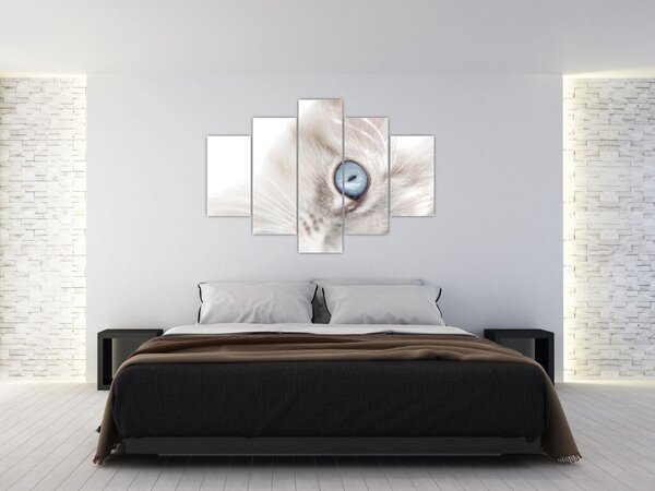 Kép - Kék szemű macska (150x105 cm)