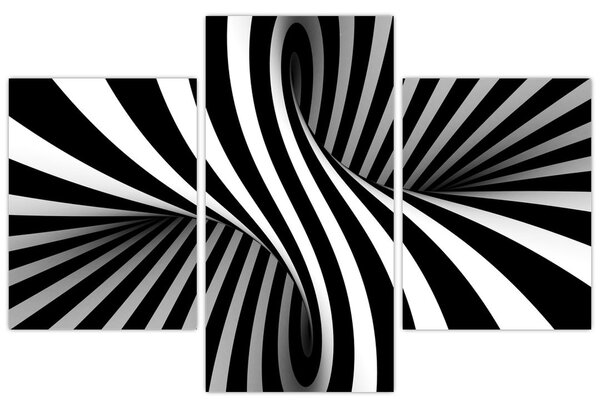 Absztrakt kép zebra csíkokkal (90x60 cm)