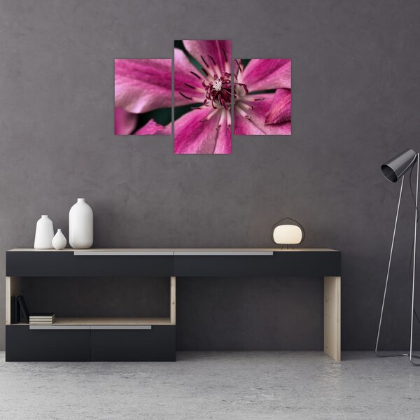 Rózsaszín flamingóvirág képe (90x60 cm)