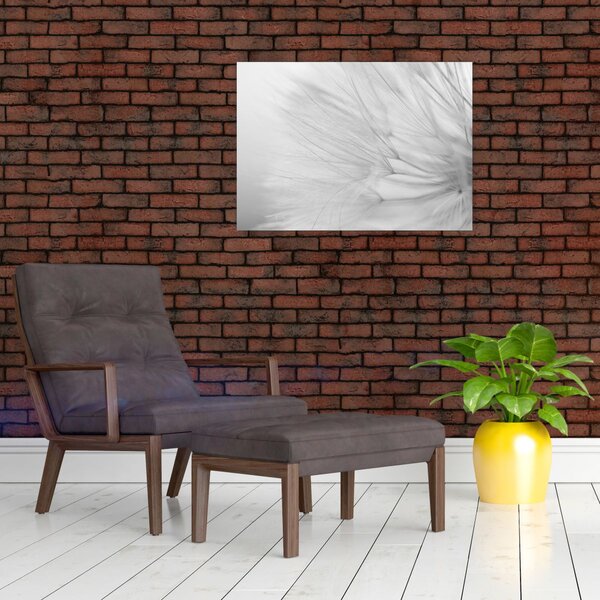 Kép - Pitypang (70x50 cm)