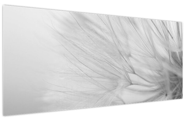 Kép - Pitypang (120x50 cm)