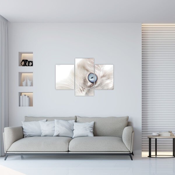 Kép - Kék szemű macska (90x60 cm)
