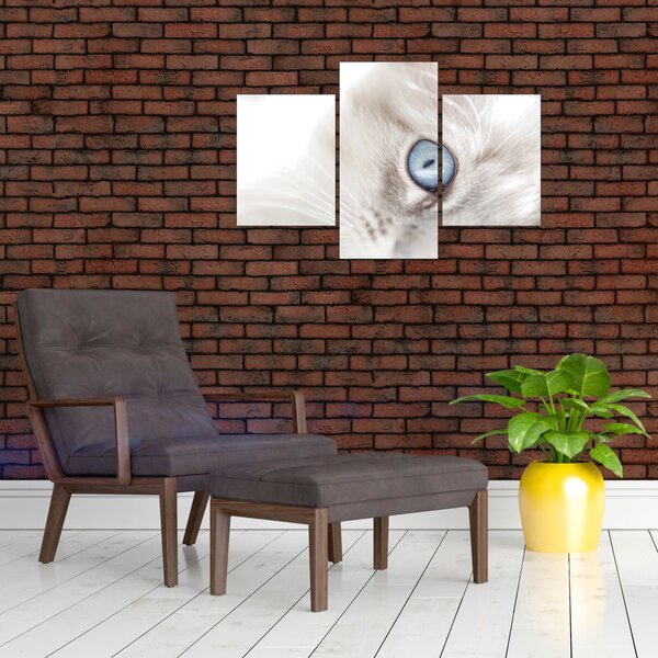 Kép - Kék szemű macska (90x60 cm)