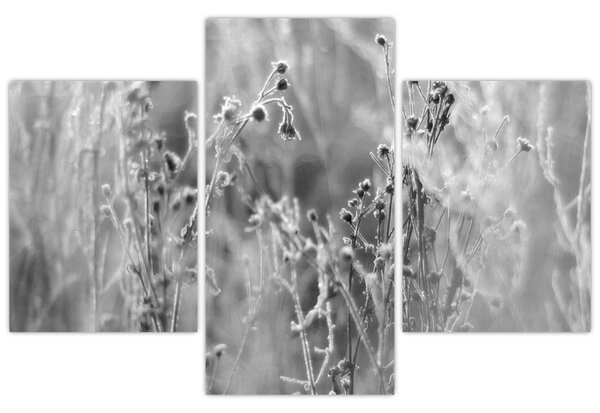 Kép - Wild Meadow (90x60 cm)