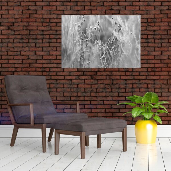 Kép - Wild Meadow (90x60 cm)