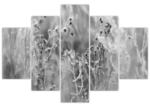 Kép - Wild Meadow (150x105 cm)