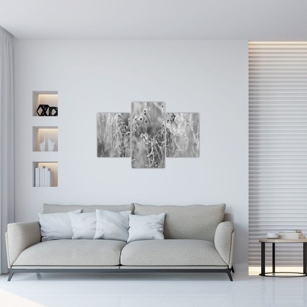 Kép - Wild Meadow (90x60 cm)