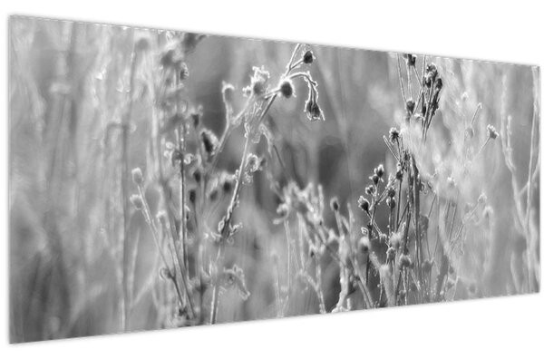 Kép - Wild Meadow (120x50 cm)