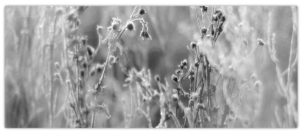 Kép - Wild Meadow (120x50 cm)