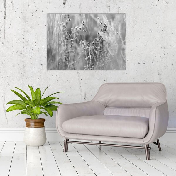 Kép - Wild Meadow (70x50 cm)
