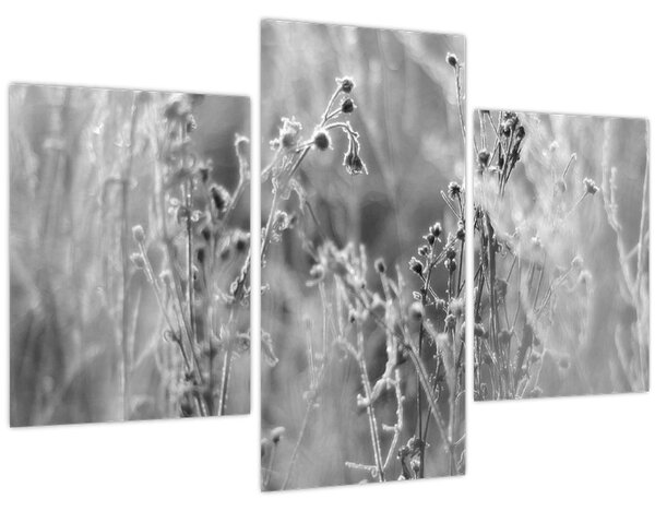 Kép - Wild Meadow (90x60 cm)