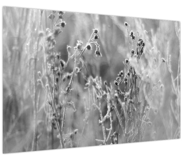 Kép - Wild Meadow (90x60 cm)