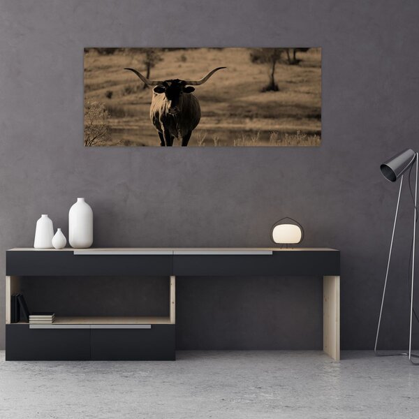 Kép - Texasi tehén (120x50 cm)