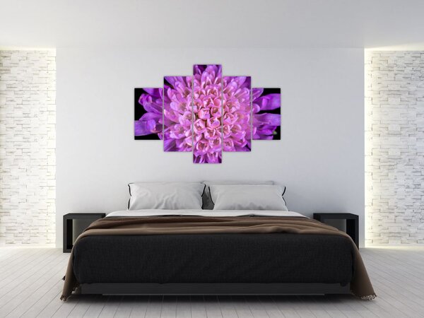 Részletes virágkép (150x105 cm)