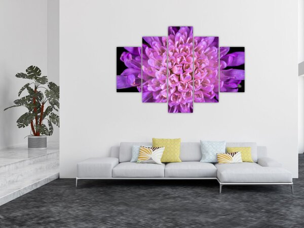 Részletes virágkép (150x105 cm)