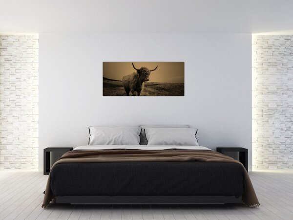 Kép - Skót tehén menekül (120x50 cm)