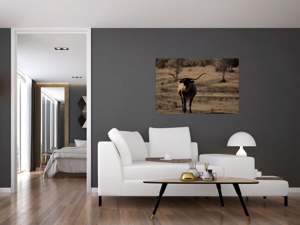 Kép - Texasi tehén (90x60 cm)