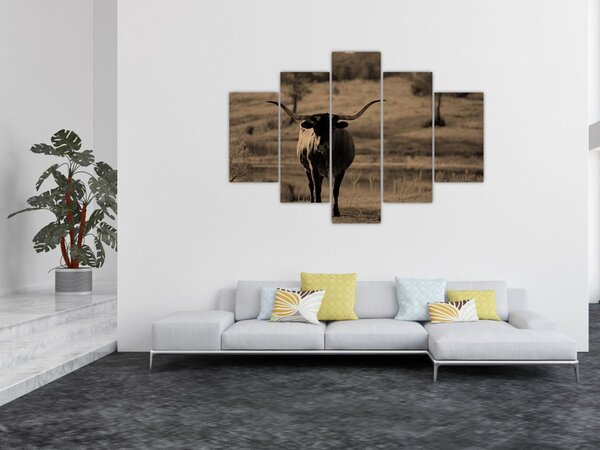 Kép - Texasi tehén (150x105 cm)