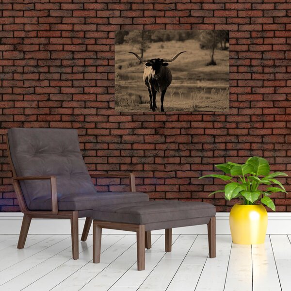 Kép - Texasi tehén (70x50 cm)