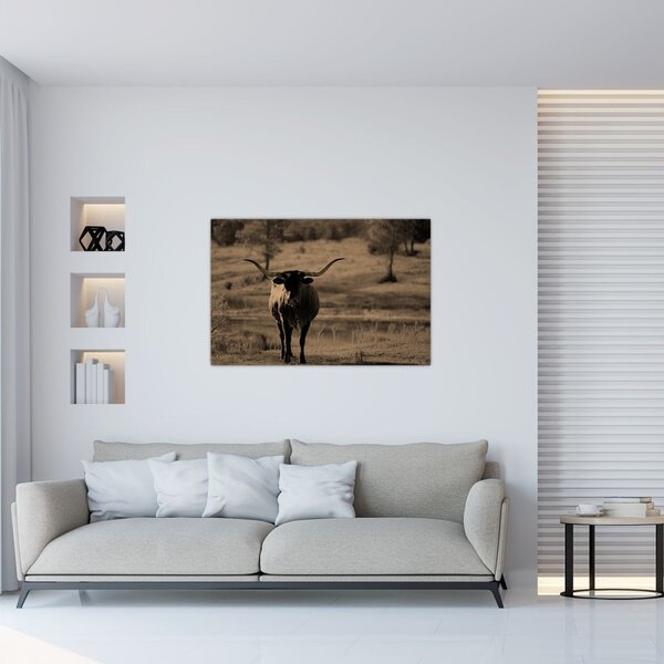 Kép - Texasi tehén (90x60 cm)