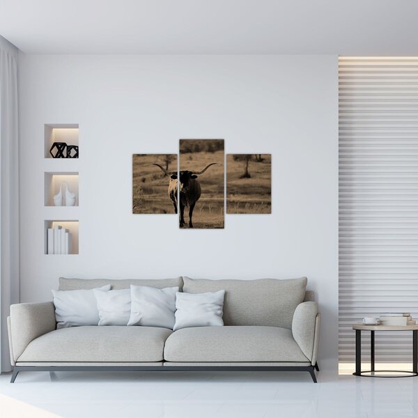 Kép - Texasi tehén (90x60 cm)