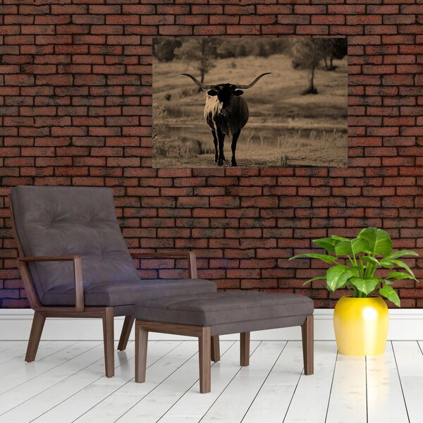 Kép - Texasi tehén (90x60 cm)