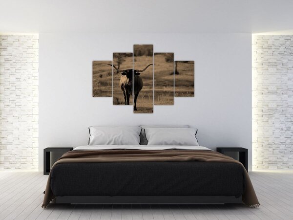 Kép - Texasi tehén (150x105 cm)