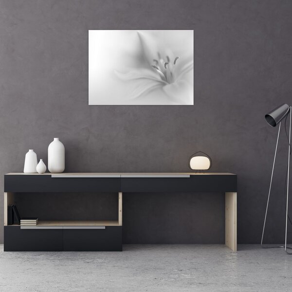 Kép - Delicate Lily (70x50 cm)