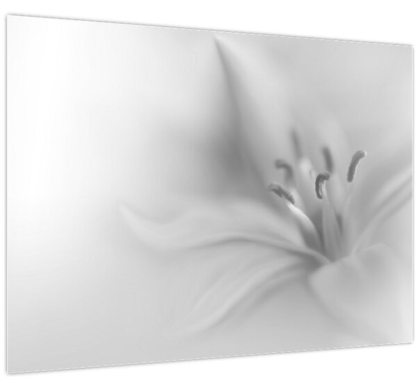 Kép - Delicate Lily (70x50 cm)