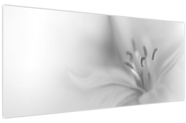 Kép - Delicate Lily (120x50 cm)