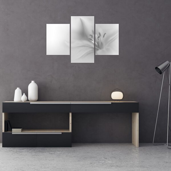 Kép - Delicate Lily (90x60 cm)