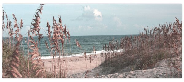 Kép - Rózsaszín strand (120x50 cm)