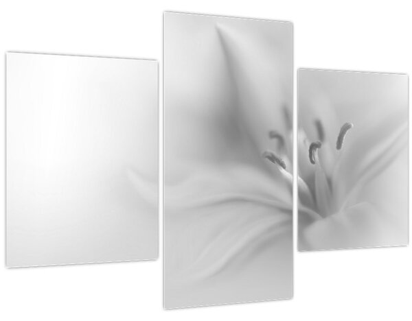 Kép - Delicate Lily (90x60 cm)