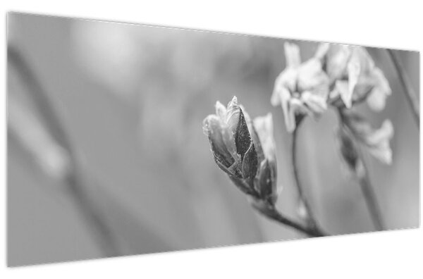 Kép - Virágzó virág (120x50 cm)