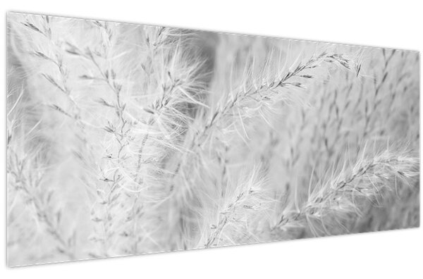 Kép - Pampafű N⁰1 (120x50 cm)